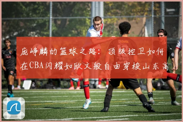 庞峥麟的篮球之路：顶级控卫如何在CBA闪耀如欧文般自由穿梭山东高速