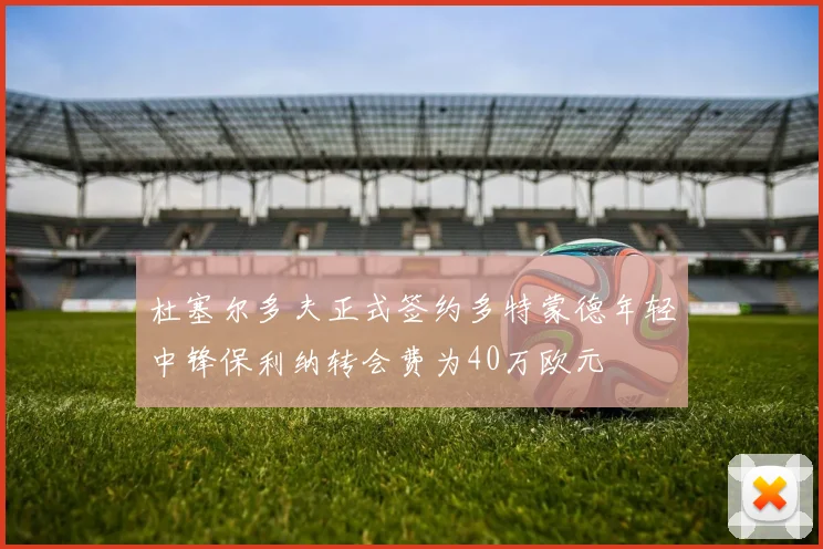 杜塞尔多夫正式签约多特蒙德年轻中锋保利纳转会费为40万欧元