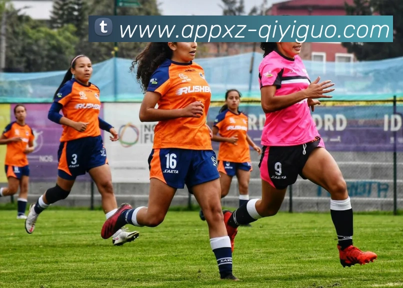 奇异果体育平台生态图